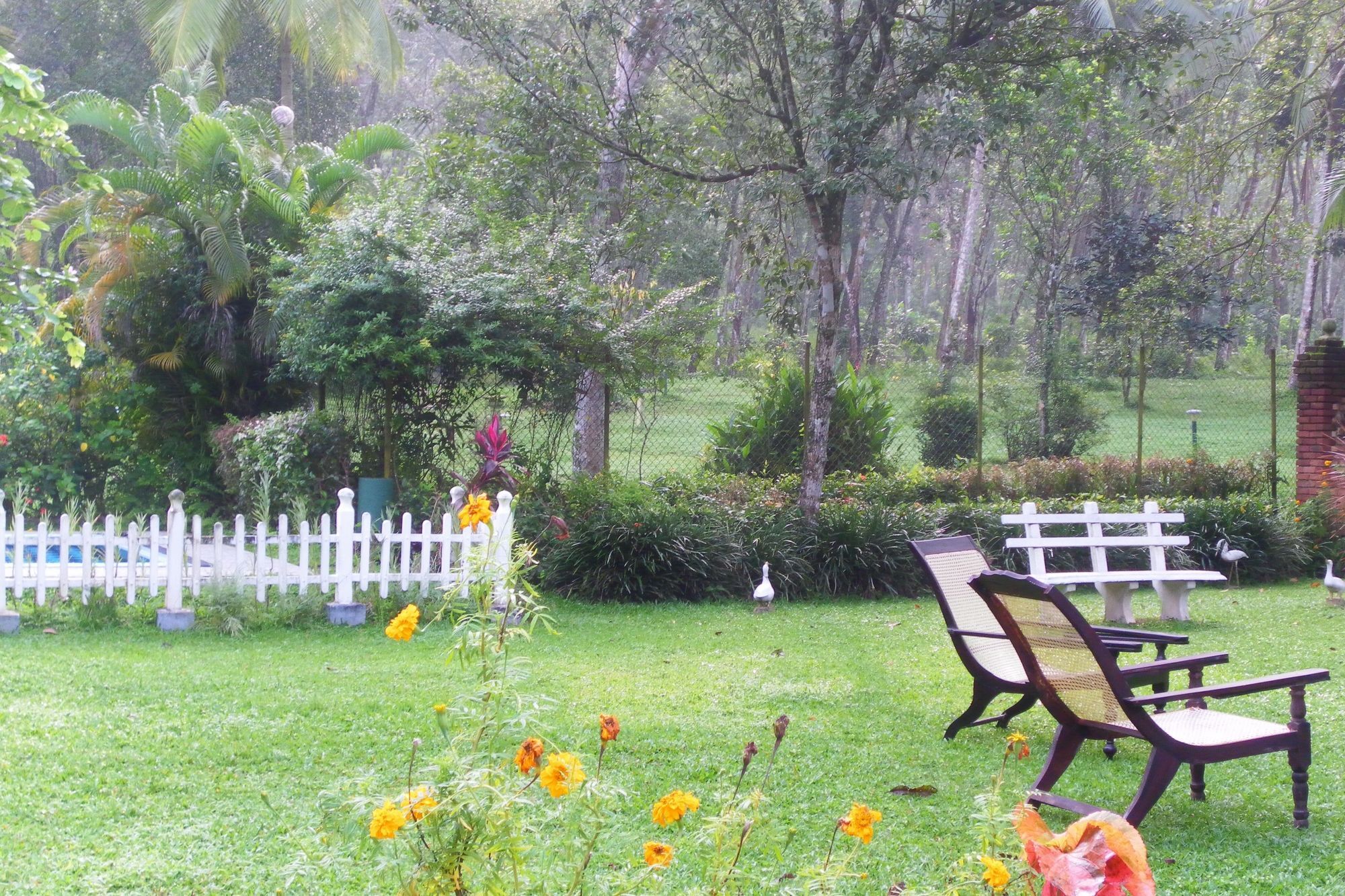 Plantation Villa Калутара Экстерьер фото
